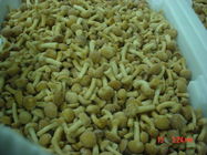 IQF New Crop  Frozen Fruits And Vegetables Forest Nameko Mushroom Whole Part