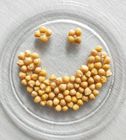 Cheap Price Canned Chickpeas Wholesale Preserved Chick Peas 400g