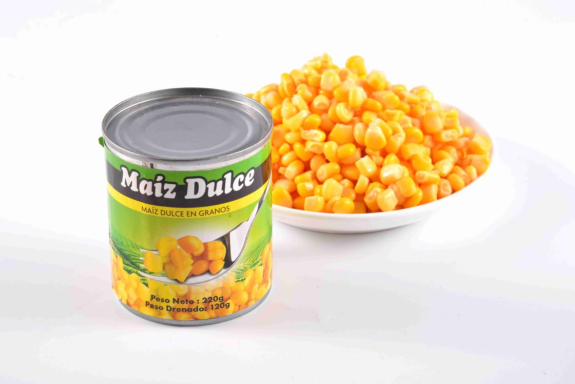 No Pathogenic Bacteria Corn Kernels Canned Fit For Human Consumption