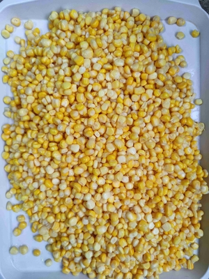 Manual Selection Canned Sweet Corn Ready To Eat Super Sweet Variety