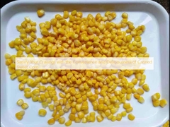 Satisfy Your Cravings with the Convenience and Deliciousness of Canned Sweet Corn