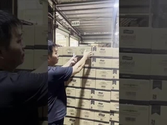 24 Months Shelf Life Water Canned Champignon Product