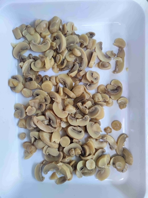 Fresh 10.2 Kg Canned Champignon Mushroom Cultivated