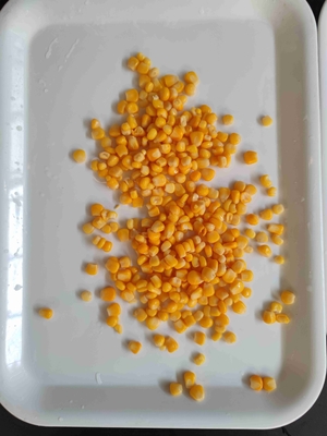 Sweet Corn in Can 24 Months Shelf Life Delicious Flavor