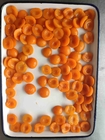 0g Saturated Fat Canned Apricot Sections With Citric Acid