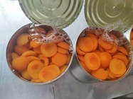 Dry Place Storage Preserved Apricot Pieces 0g Trans Fat 80 Calories