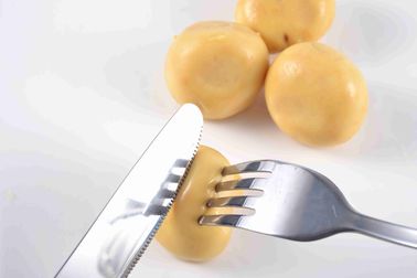 Salty Flavor Whole Canning Mushrooms 425g X 12 Tin Drained Weight 230g