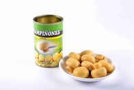 Halal / Kosher Certificate Canned Whole Mushrooms Customer Brand Available