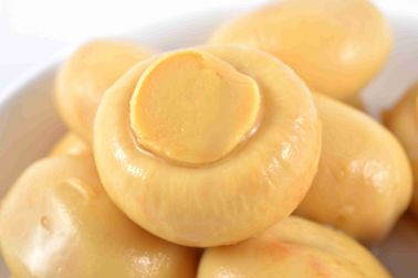 New Crop Canned Whole Mushrooms Grade A With Brine Preservation Process