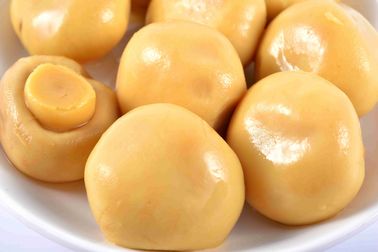 425g/200g High Grade Canned Champignon Mushroom in Brine