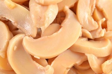 Nutritious Canned Champignon Mushroom / Whole Canned Mushrooms Salty Flavor