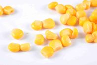 Golden Yellow Canned Sweet Corn Kernel With Easy Open Lid HACCP Approved