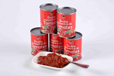 Concentration Canned Tomato Sauce for Customer Requirements