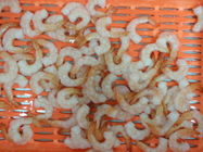 Vannamei Shrimp Fresh Frozen Seafood Rich Magnesium And Calcium Phosphorus