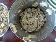 Various Specifications Canned Sliced Button Mushrooms