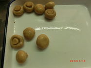 Whole Shape Canned Champignon Mushroom With Rich Nutrition Short Lead Time