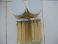 Whole Canned White Asparagus High Nutritional Value Low Sugar And Fat