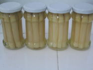 Healthy Canned White Asparagus Spears / Fresh Green Asparagus In Glass Jar