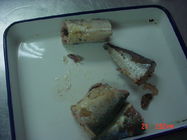 Canned Mackerel In Brine , Jack Mackerel Canned in Tomato Sauce No Artificial Additives