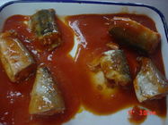 Canned Mackerel In Brine , Jack Mackerel Canned in Tomato Sauce No Artificial Additives