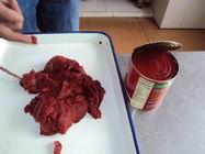 Natural High Purity Canned Tomato Paste Without Naked Eye Visible Impurity