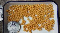 Delicious Canned Chickpeas In Brine 3 Years Shelf Life Easy Open Tin 425g , 567g,800g