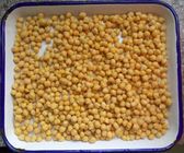 Net Weight 567g Cooking Canned Chickpeas In Water Easy Open Lid For Salads