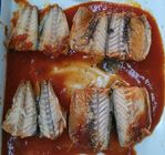 Private Label Atlantic Mackerel Canned Fish In Tomato Sauce Without Chili Pepper