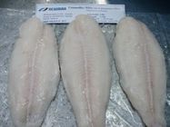 Delicious Bulk Frozen Fish Frozen Pangasius Fillet / Basa Fish From Vietnam