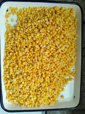 Convenient Sweet Golden Canned Corn with Lid 1800g