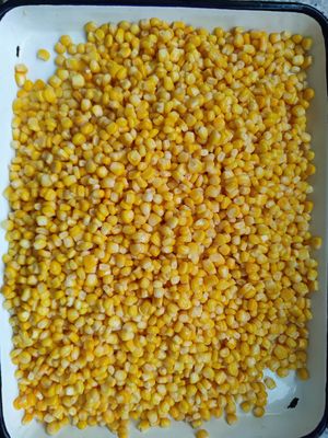 Light Yellow Canned Sweet Corn Ideal for Bulk Storage and Easy Handling in Food Industry