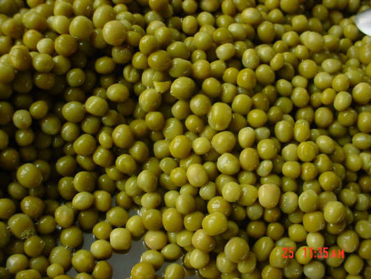 Salty Flavor Canned Green Peas Preserved Peas Meets Food Safety Regulations for Easy Storage