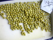Halal Canned Green Peas In Brine 400g / 240g With Easy Open Lid