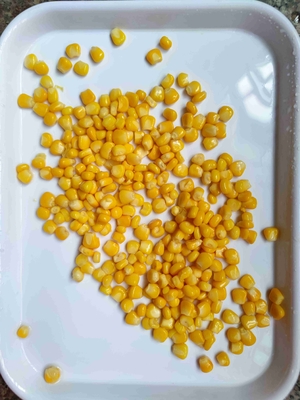 Delicious Cultivation Type Non-GMO Canned Sweet Corn For Export