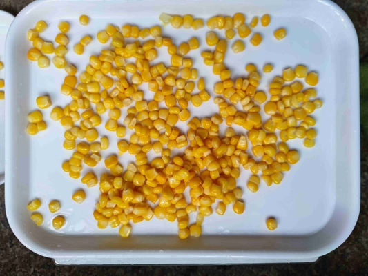 Scrumptious Manually Selected Super Sweet Canned Yellow Corn