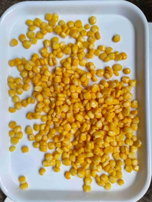 Hassle Free Non GMO Sweet Corn Kernels In Can
