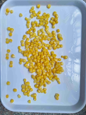 Satisfy Your Cravings With Convenience And Deliciousness Of Canned Sweet Corn