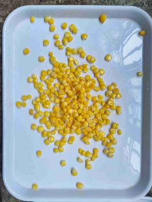 Sweet Corn Canned Corn Sweet Typical Corn Sweet Flavor Sweet Corn Ingredient Canned Corn Sweet Canned Corn Sweet Canned
