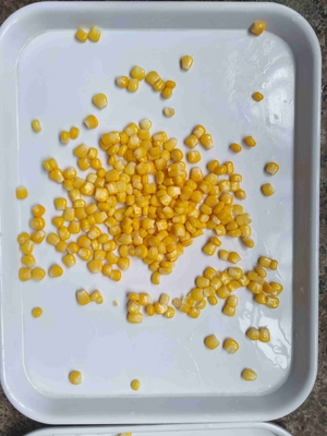 Drained Weight 840g Canned Sweet Corn Made From Fresh Sweet Corn With Sugar Ingredient