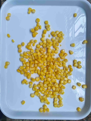 Easy-to-Store Canned Sweet Corn Private Label Acceptable With Tinned Style