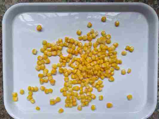 Fresh Corn Canned Sweet Corn with Multiple Net Weight Options and Top Quality Level for Food Production