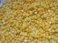 From China Fresh Natural Canned Preserved Sweet Kernel Corn In 340g