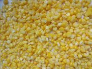 Canned Corn Factory Non GMO Canned Corn Canned Sweet Corn In Tin A10