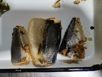 Mackerel Canned Fish Storage Instructions Store In A Cool Style Canned