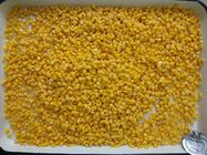 A9 Tin Vacuum Pack Net 2125g Whole Sweet Corn Kernel From China