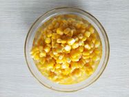 Green Food Fresh Canned Sweet Corn For Sale