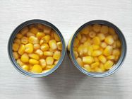 Delicious Steamed 340g 425g A9 A10 Canned Sweet Corn
