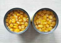 Non GMO Canned Sweet Corn With No Admixture
