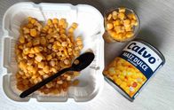 Non GMO 567g Canned Sweet Corn With No Admixture