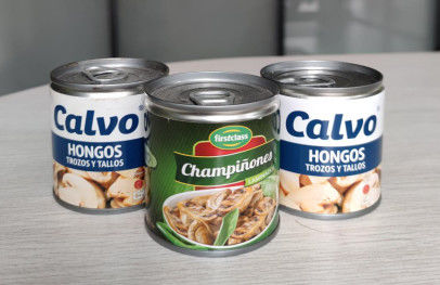Brine Preservation Salty Canned Champignon Mushroom